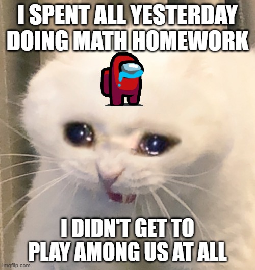 I NEED TO PLAY THE AIRSHIPPP | I SPENT ALL YESTERDAY DOING MATH HOMEWORK; I DIDN'T GET TO PLAY AMONG US AT ALL | image tagged in screaming crying cat | made w/ Imgflip meme maker