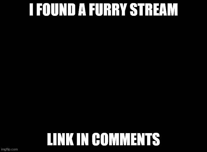 uncensored furry stream detected | I FOUND A FURRY STREAM; LINK IN COMMENTS | image tagged in blank black | made w/ Imgflip meme maker