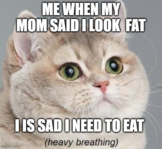 Heavy Breathing Cat | ME WHEN MY MOM SAID I LOOK  FAT; I IS SAD I NEED TO EAT | image tagged in memes,heavy breathing cat | made w/ Imgflip meme maker