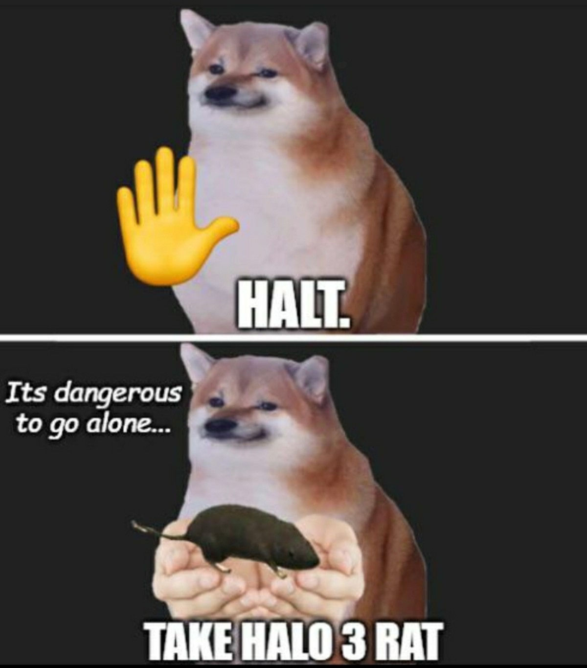 High Quality Halt doge Blank Meme Template