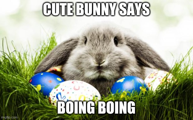 Easter bunny | CUTE BUNNY SAYS; BOING BOING | image tagged in easter bunny | made w/ Imgflip meme maker