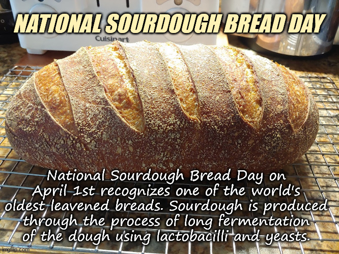 Celebrate Bread | NATIONAL SOURDOUGH BREAD DAY; National Sourdough Bread Day on April 1st recognizes one of the world's oldest leavened breads. Sourdough is produced through the process of long fermentation of the dough using lactobacilli and yeasts. | image tagged in bread,yeasts,lactobacilli,sourdough | made w/ Imgflip meme maker