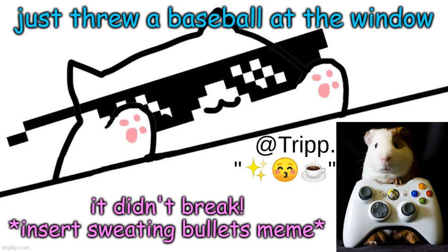 ah ha ha- | just threw a baseball at the window; it didn't break! *insert sweating bullets meme* | image tagged in tripp 's very awesome temp d | made w/ Imgflip meme maker