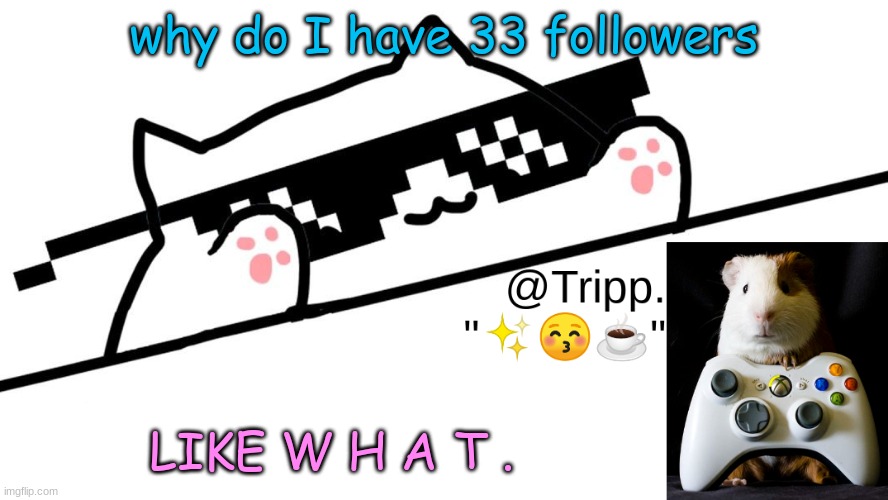;-; thank you. | why do I have 33 followers; LIKE W H A T . | image tagged in tripp 's very awesome temp d | made w/ Imgflip meme maker