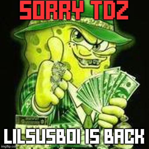 susboi's back | SORRY TDZ; LILSUSBOI IS BACK | image tagged in funny meme | made w/ Imgflip meme maker