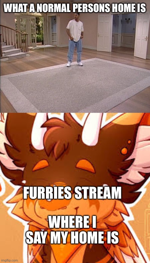 It’s my home (art not mine) | WHAT A NORMAL PERSONS HOME IS; FURRIES STREAM; WHERE I SAY MY HOME IS | image tagged in fresh prince empty house | made w/ Imgflip meme maker