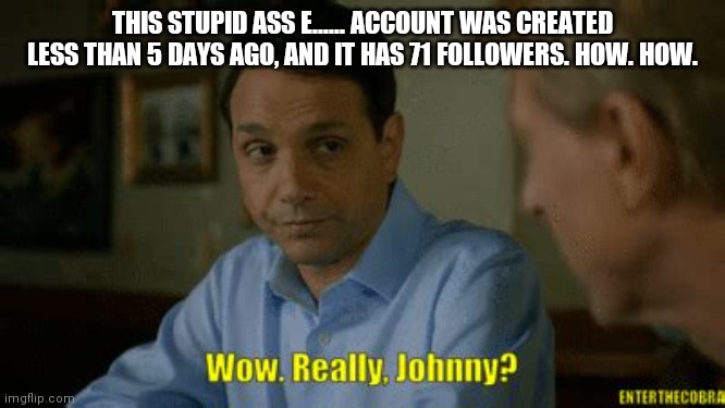 Really johnny? | THIS STUPID ASS E...... ACCOUNT WAS CREATED LESS THAN 5 DAYS AGO, AND IT HAS 71 FOLLOWERS. HOW. HOW. | image tagged in really johnny | made w/ Imgflip meme maker