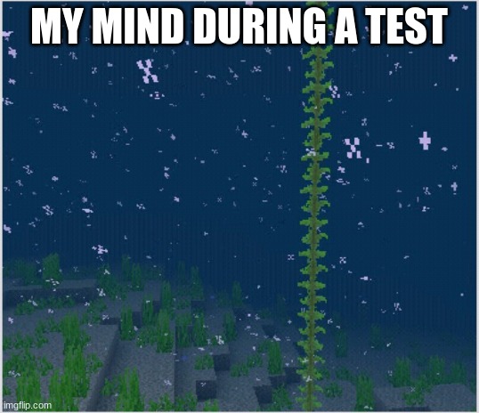 My Mind During A Test | MY MIND DURING A TEST | image tagged in what happened | made w/ Imgflip meme maker