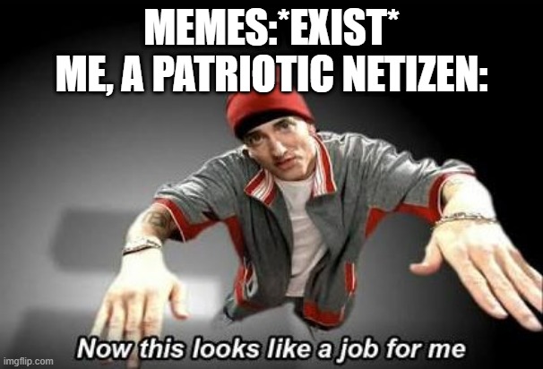 we all are | MEMES:*EXIST*
ME, A PATRIOTIC NETIZEN: | image tagged in now this looks like a job for me | made w/ Imgflip meme maker