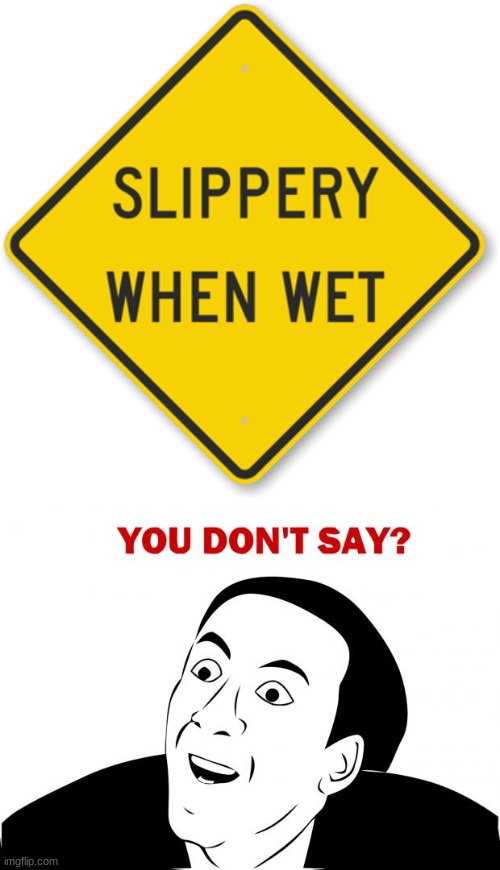 Slippery When Wet | image tagged in memes,you don't say | made w/ Imgflip meme maker