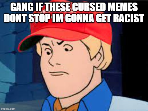 GANG IF THESE CURSED MEMES DONT STOP IM GONNA GET RACIST | made w/ Imgflip meme maker
