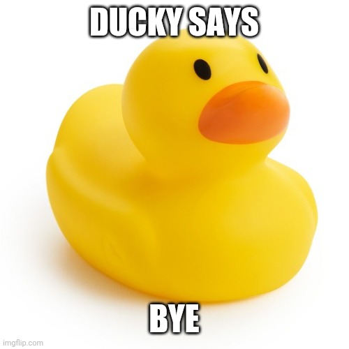 Ducky says bye | DUCKY SAYS; BYE | image tagged in funny,duck,bye | made w/ Imgflip meme maker