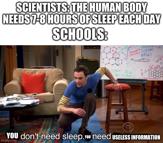 I Don't Need Sleep. I Need Answers | SCIENTISTS: THE HUMAN BODY NEEDS 7-8 HOURS OF SLEEP EACH DAY; SCHOOLS:; YOU; YOU; USELESS INFORMATION | image tagged in i don't need sleep i need answers,school | made w/ Imgflip meme maker