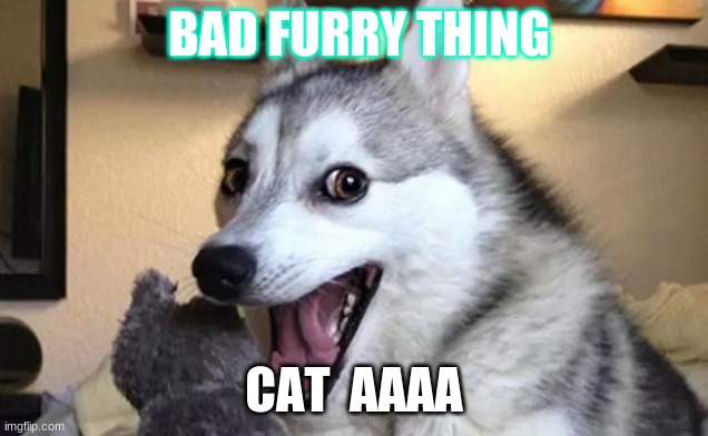 Pun dog - husky | BAD FURRY THING; CAT  AAAA | image tagged in pun dog - husky | made w/ Imgflip meme maker