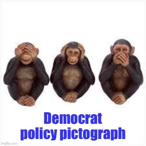 See no Evil Hear no Evil Speak no Evil | Democrat policy pictograph | image tagged in see no evil hear no evil speak no evil | made w/ Imgflip meme maker