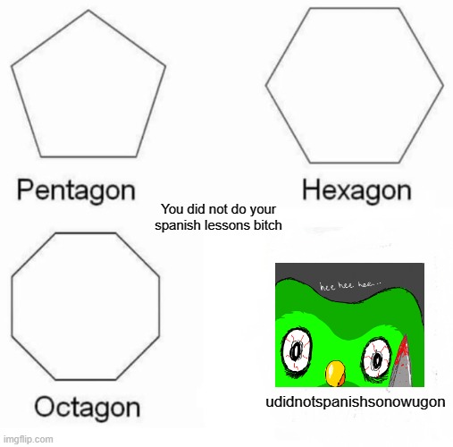 all over this page | You did not do your spanish lessons bitch; udidnotspanishsonowugon | image tagged in memes,pentagon hexagon octagon | made w/ Imgflip meme maker