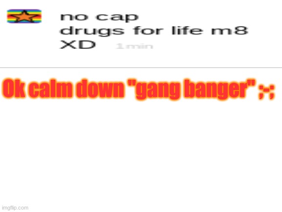 BRUH | Ok calm down "gang banger" ;-; | image tagged in blank white template | made w/ Imgflip meme maker