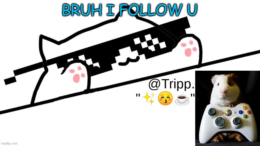 @Tripp.'s VERY AWESOME TEMP! :D | BRUH I FOLLOW U | image tagged in tripp 's very awesome temp d | made w/ Imgflip meme maker