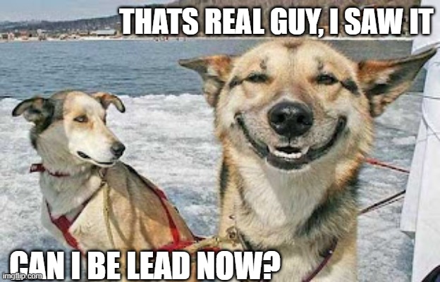 Original Stoner Dog Meme | THATS REAL GUY, I SAW IT CAN I BE LEAD NOW? | image tagged in memes,original stoner dog | made w/ Imgflip meme maker