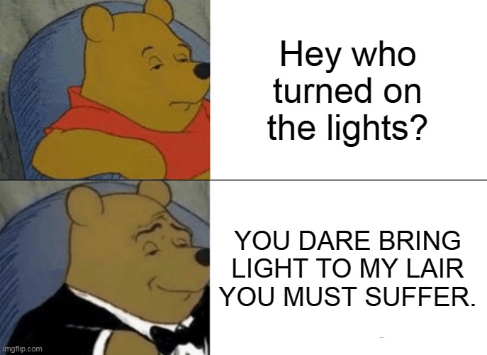 Tuxedo Winnie The Pooh Meme | Hey who turned on the lights? YOU DARE BRING LIGHT TO MY LAIR YOU MUST SUFFER. | image tagged in memes,tuxedo winnie the pooh,sleep,lol,haha | made w/ Imgflip meme maker