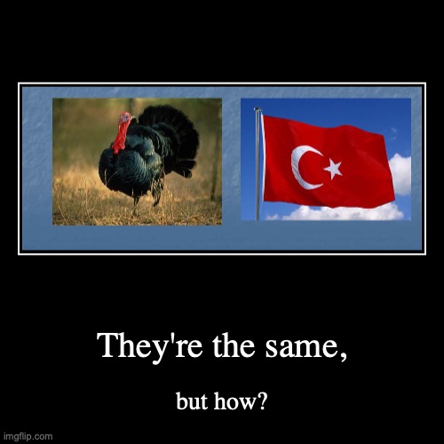 image tagged in funny,demotivationals,turkey,meme,wut,weird | made w/ Imgflip demotivational maker