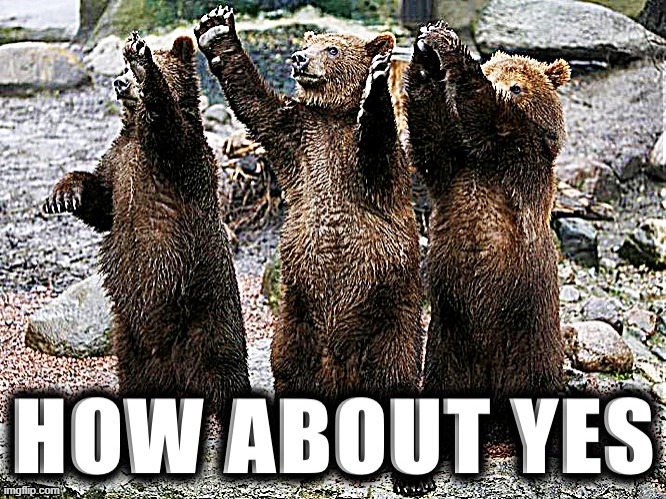 How about yes bears | image tagged in how about yes bears | made w/ Imgflip meme maker
