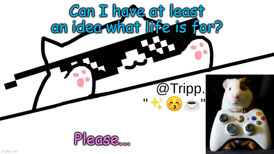 :T | Can I have at least an idea what life is for? Please... | image tagged in tripp 's very awesome temp d | made w/ Imgflip meme maker