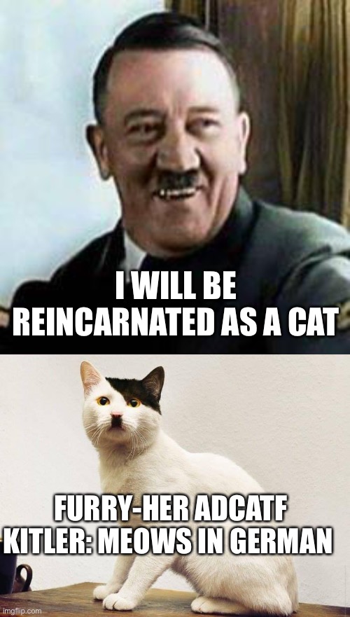 Adcatf Kitler | I WILL BE REINCARNATED AS A CAT; FURRY-HER ADCATF KITLER: MEOWS IN GERMAN | image tagged in laughing hitler | made w/ Imgflip meme maker