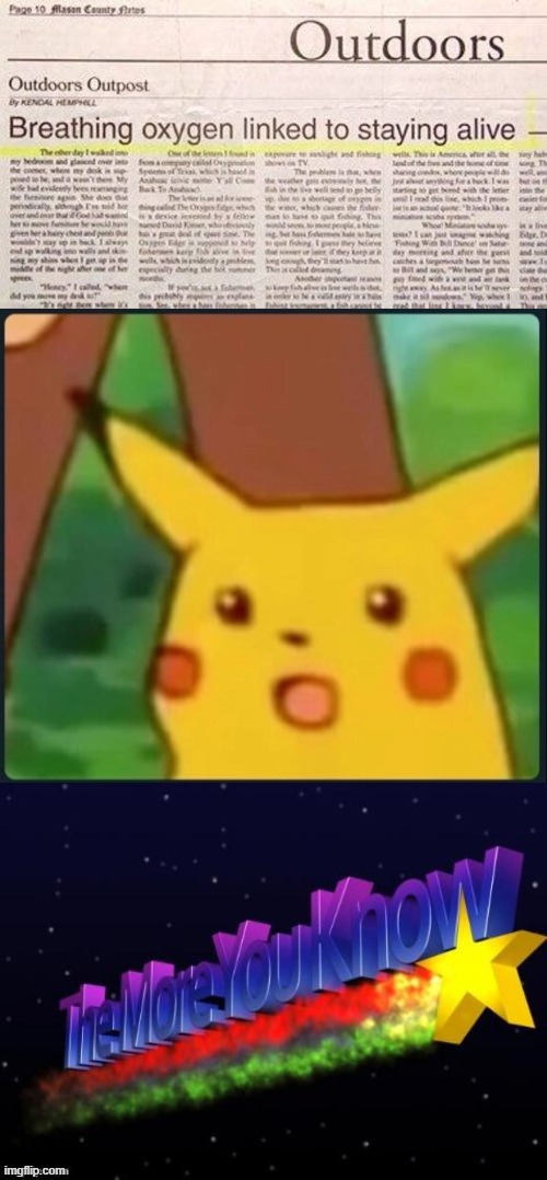*insert title here* | image tagged in surprised pikachu,the more you know,memes,heyo,i never get upvotes tot | made w/ Imgflip meme maker
