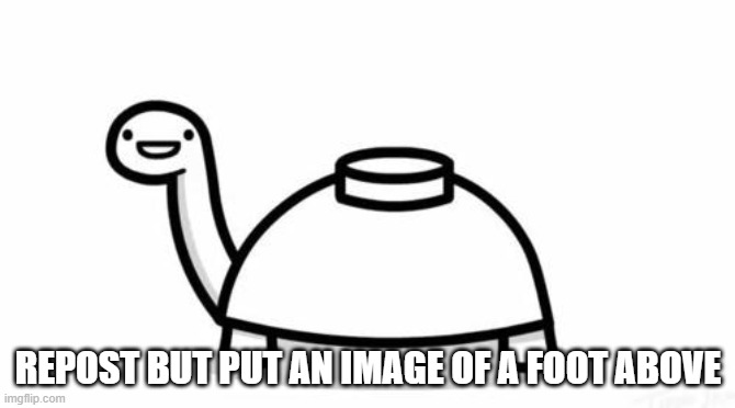 Mine Turtle | REPOST BUT PUT AN IMAGE OF A FOOT ABOVE | image tagged in mine turtle | made w/ Imgflip meme maker