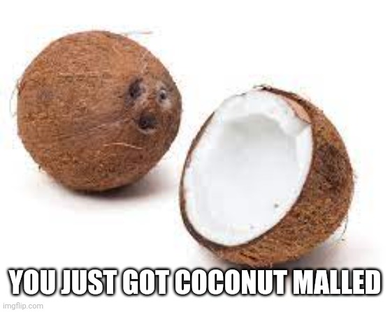 YOU JUST GOT COCONUT MALLED | YOU JUST GOT COCONUT MALLED | image tagged in you just got coconut malled | made w/ Imgflip meme maker