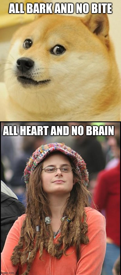 Hmmm.... | ALL BARK AND NO BITE; ALL HEART AND NO BRAIN | image tagged in memes,doge,hmmm,liberal logic,politics | made w/ Imgflip meme maker