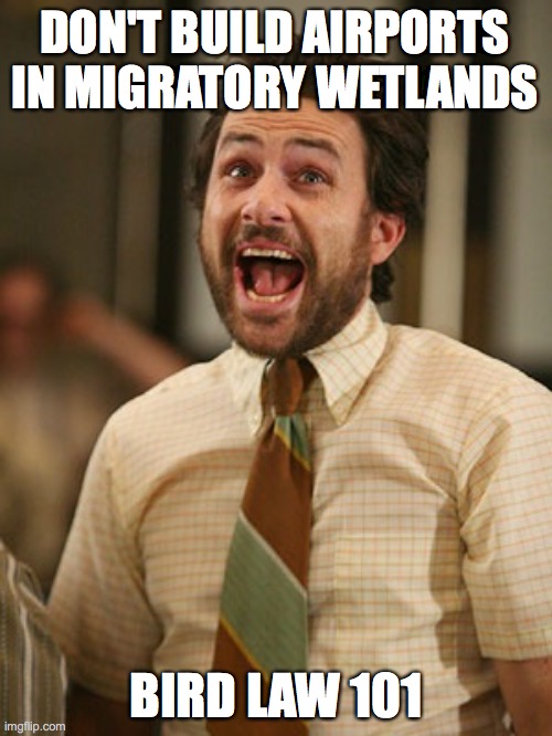Charlie Kelly Bird Lawyer | DON'T BUILD AIRPORTS IN MIGRATORY WETLANDS; BIRD LAW 101 | image tagged in charlie kelly bird lawyer,UtahJazz | made w/ Imgflip meme maker
