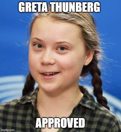 Greta Thunberg | GRETA THUNBERG APPROVED | image tagged in greta thunberg | made w/ Imgflip meme maker