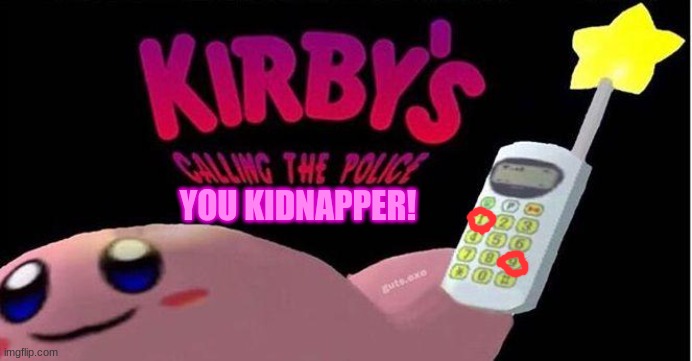 Kirby's calling the Police | YOU KIDNAPPER! | image tagged in kirby's calling the police | made w/ Imgflip meme maker