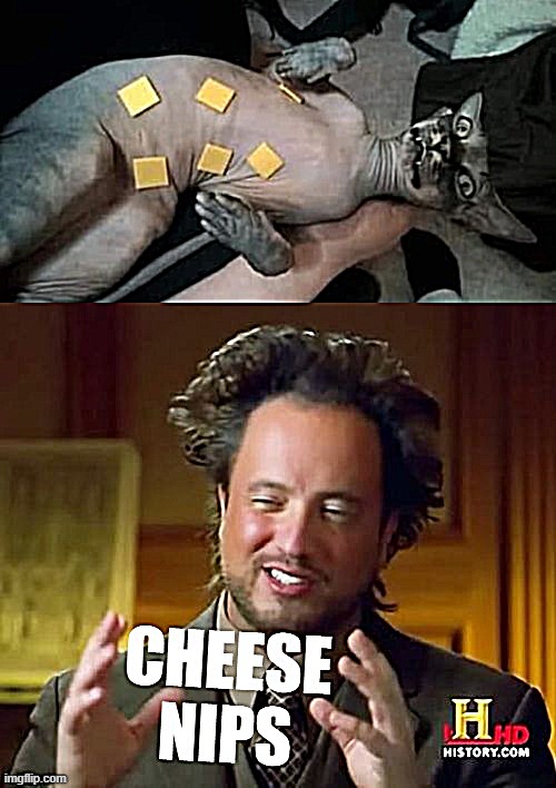 cheese nips | image tagged in cheese,nipples,cat,can't unsee,ancient aliens,ancient aliens guy | made w/ Imgflip meme maker