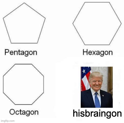Pentagon Hexagon Octagon Meme | hisbraingon | image tagged in memes,pentagon hexagon octagon,trump sucks,donald trump small brain | made w/ Imgflip meme maker