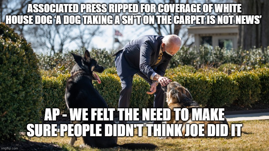 Biden's dog s**ts on carpet | ASSOCIATED PRESS RIPPED FOR COVERAGE OF WHITE HOUSE DOG ‘A DOG TAKING A SH*T ON THE CARPET IS NOT NEWS’; AP - WE FELT THE NEED TO MAKE SURE PEOPLE DIDN'T THINK JOE DID IT | image tagged in biden's dogs,poop,joe biden,funny,politics | made w/ Imgflip meme maker