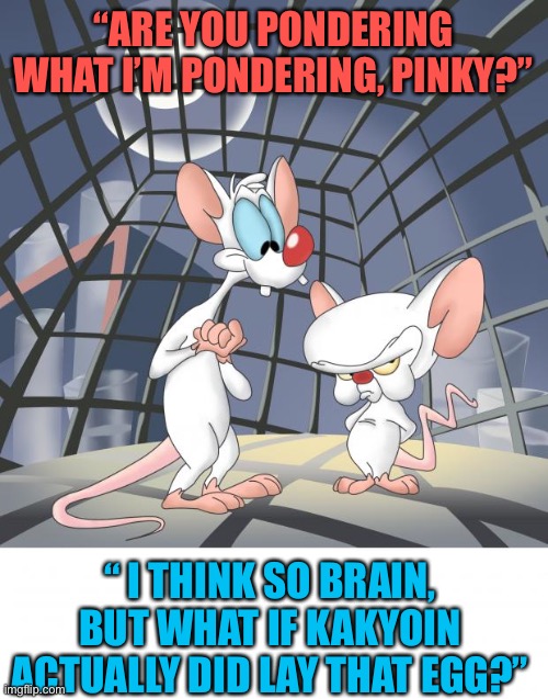 ArE yOu PoNdErInG wHat I’m PoNdErInG? | “ARE YOU PONDERING WHAT I’M PONDERING, PINKY?”; “ I THINK SO BRAIN, BUT WHAT IF KAKYOIN ACTUALLY DID LAY THAT EGG?” | image tagged in pinky and the brain,cartoon,cringe worthy,jojo's bizarre adventure,just why | made w/ Imgflip meme maker