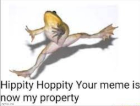 should I keep making memes | image tagged in frog | made w/ Imgflip meme maker