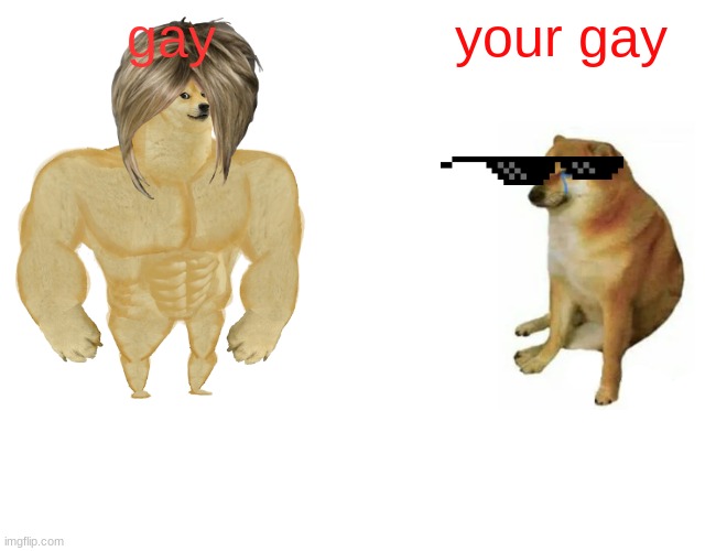 Buff Doge vs. Cheems Meme | gay; your gay | image tagged in memes,buff doge vs cheems | made w/ Imgflip meme maker