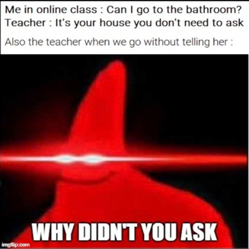 Teacher, Can I Go To the Bathroom? | image tagged in teacher,zoom,bathroom | made w/ Imgflip meme maker
