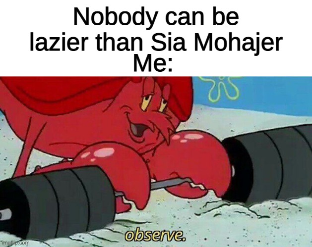 bonk | Nobody can be lazier than Sia Mohajer; Me: | image tagged in observe | made w/ Imgflip meme maker