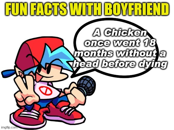 I cant even go 2 days without head you know what im sayin you know what im sayin | A Chicken once went 18 months without a head before dying | image tagged in fun facts with boyfriend,im back | made w/ Imgflip meme maker