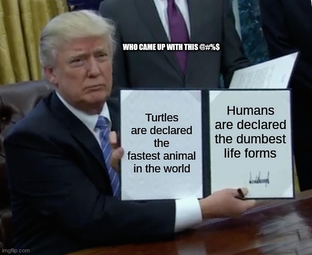 Trump Bill Signing |  WHO CAME UP WITH THIS @#%$; Turtles are declared the fastest animal in the world; Humans are declared the dumbest life forms | image tagged in memes,trump bill signing | made w/ Imgflip meme maker