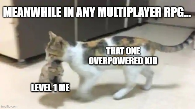 Is this relatable or just me | MEANWHILE IN ANY MULTIPLAYER RPG... THAT ONE OVERPOWERED KID; LEVEL 1 ME | image tagged in cat mama | made w/ Imgflip meme maker