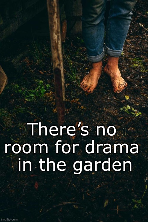 There’s no 
room for drama 
in the garden | image tagged in garden,drama free,no drama,freedom | made w/ Imgflip meme maker