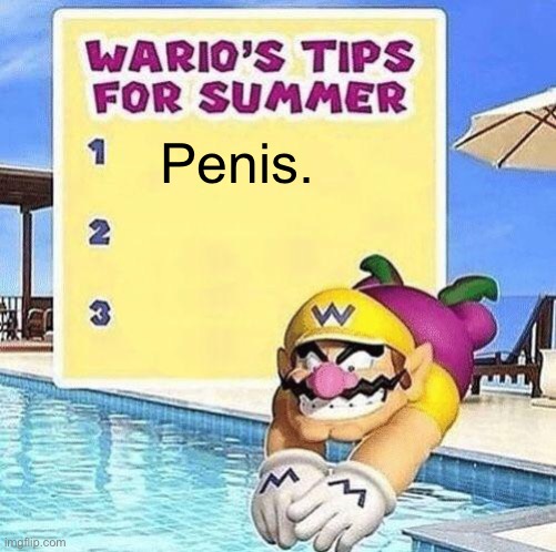 Warios tips for summer | Penis. | image tagged in warios tips for summer | made w/ Imgflip meme maker