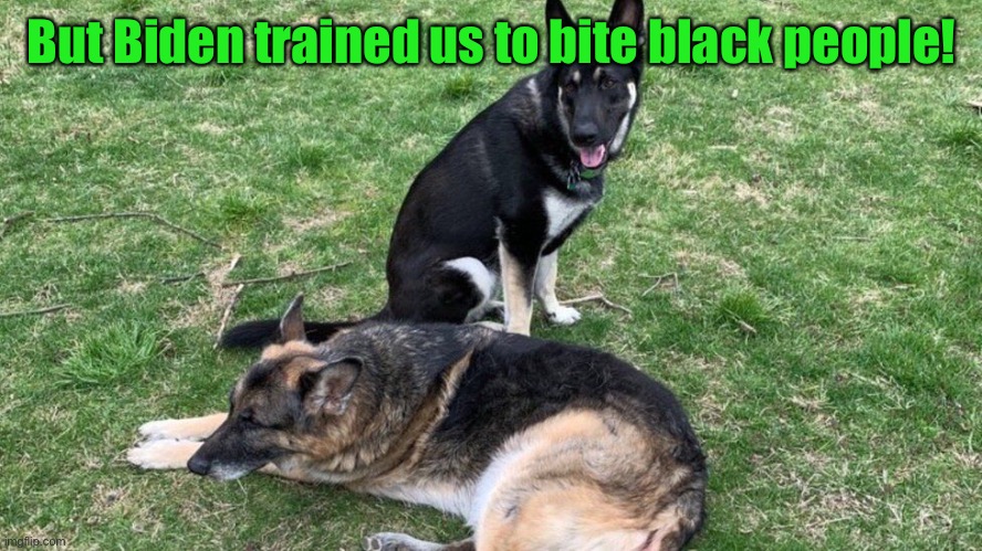But Biden trained us to bite black people! | made w/ Imgflip meme maker