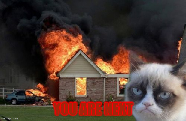 Burn Kitty Meme | YOU ARE NEXT | image tagged in memes,burn kitty,grumpy cat | made w/ Imgflip meme maker